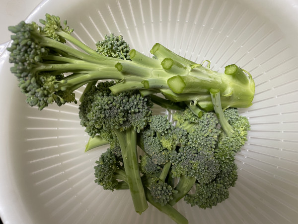 broccoli-5